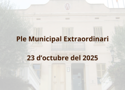 23 d'octubre: Ple Municipal Extraordinari de l'Ajuntament