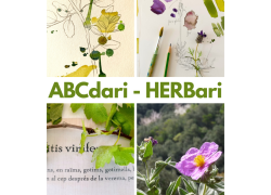 La Biblioteca de Can Llaurador acollirà el projecte “ABCdari-HERBARI”, una proposta que uneix art, llengua i etnobotànica