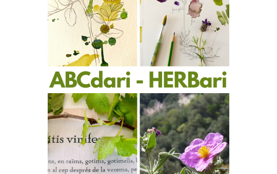 La Biblioteca de Can Llaurador acollirà el projecte “ABCdari-HERBARI”, una proposta que uneix art, llengua i etnobotànica