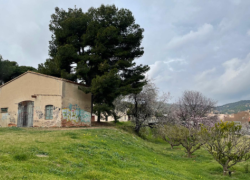 El govern tirarà endavant el rocòdrom a can Llaurador