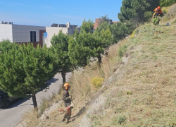 Les franges de protecció contra el foc, en execució