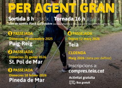 Passejades de marxa nòrdica per a la gent gran 