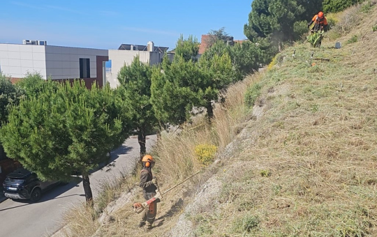 Les franges de protecció contra el foc, en execució