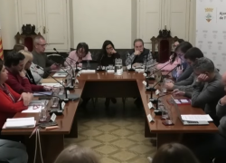 El Ple concedeix el Tei de Plata 2025 i aprova tramitar l’inventari de béns municipals