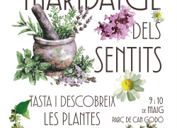 El Maridatge dels Sentits posa el focus en l’etnobotànica en la seva 9a edició