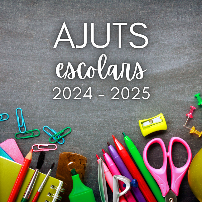 ajuts 2024 2025