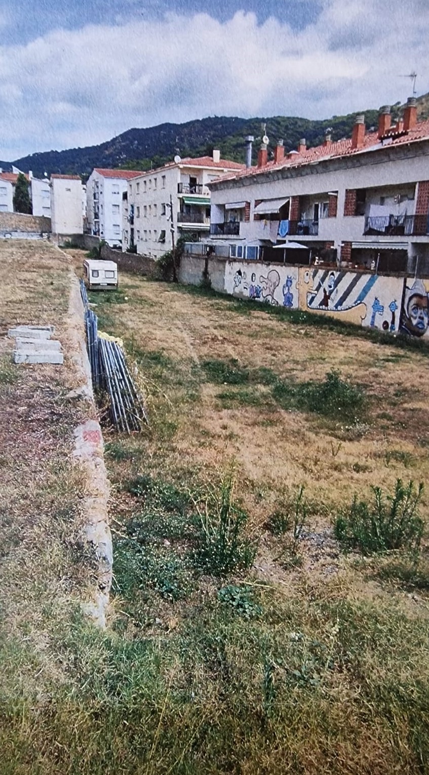 santa rosalia