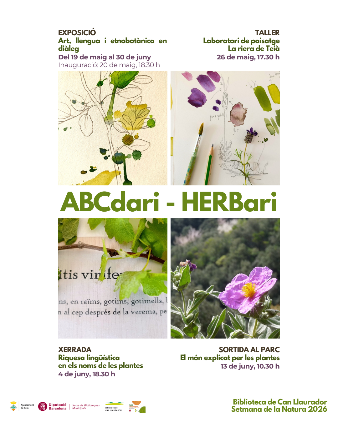 La Biblioteca de Can Llaurador acollirà el projecte “ABCdari-HERBARI”, una proposta que uneix art, llengua i etnobotànica