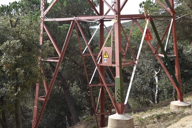 torre 1