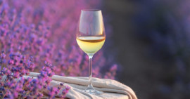 aromes de vi.jpg