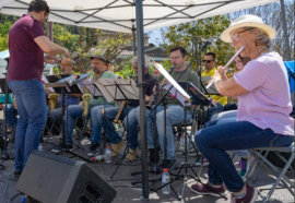 Captura de pantalla 2026-04-07 185650.png