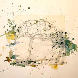 Exposició ABCdari-Herbari.jpg