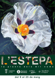 orig_post_l'estepa_la_planta_dels_,mil_noms_exposicio_página_1.jpg