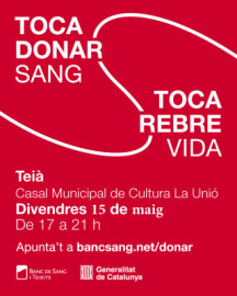 teia 15 de maig.jpg