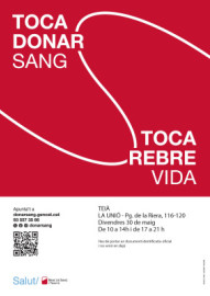 teia 30 maig.jpg