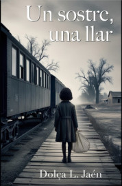 web PORTADA LLIBRE UN SOSTRE, UNA LLAR.jpg