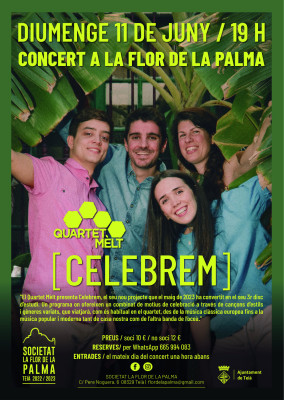 Concert Quartet Melt La Palma_2023_xarxes.jpg