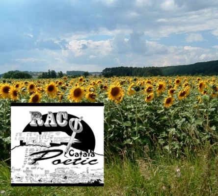 Racó poètic estiu.jpg