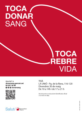 teia 30 maig.jpg