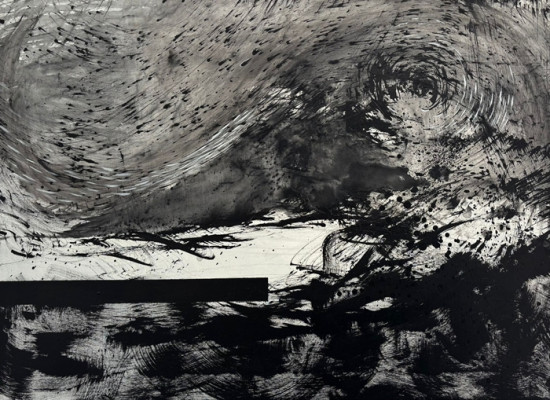 WEB expo Cielo Estrellado.jpg