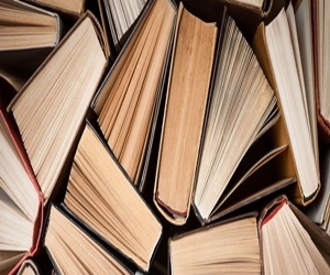 XBM xerrem de llibres.jpg